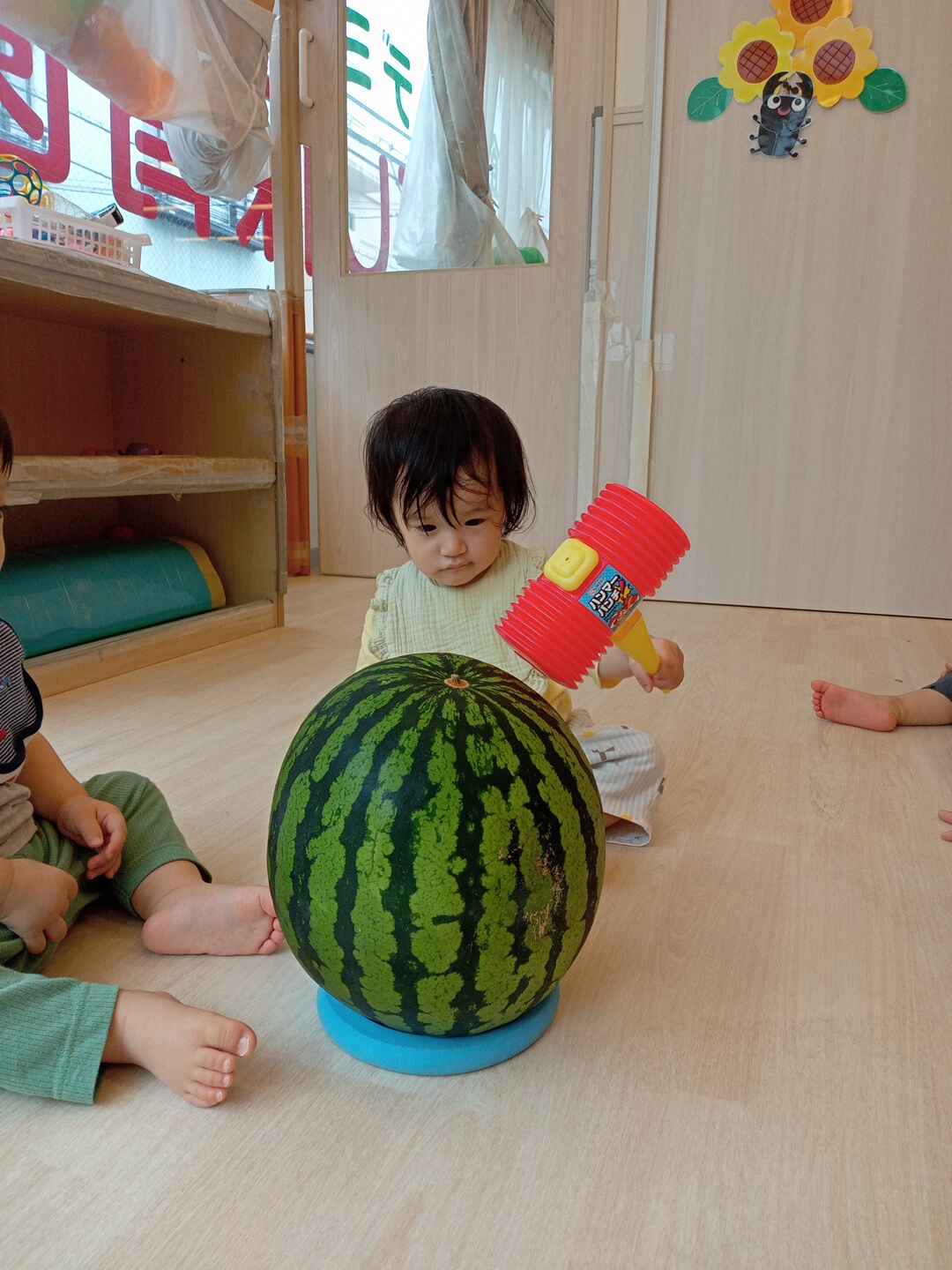 https://hoiku.shopro.co.jp/hoiku/img/2026/08/1231288202662190.jpg