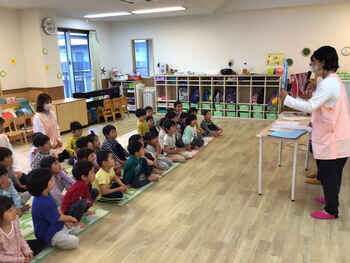 27181785202431280.jpg