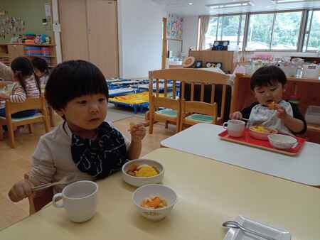 3043133110202443040.jpg