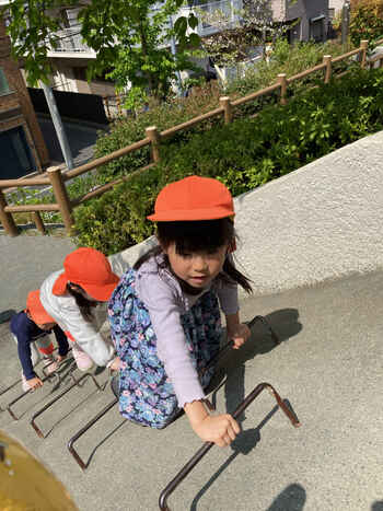 17016164202531050.jpg