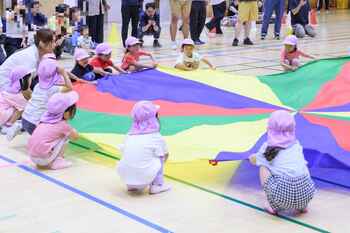 304517158202552260.jpg