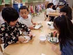 34451729202522440.jpg