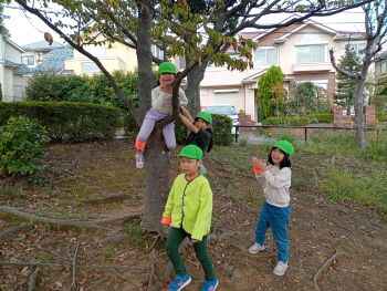 338152612202553590.jpg