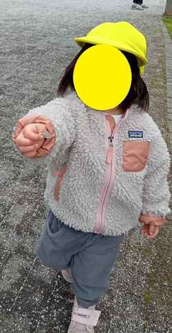 48411329120264280.jpg