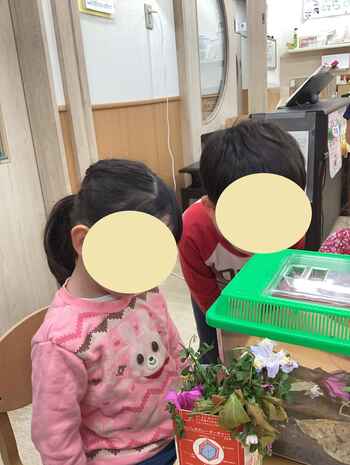 372517145202641330.jpg