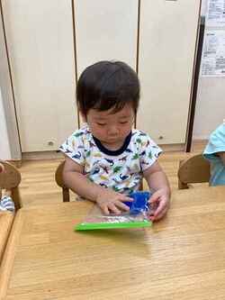 13015159202622570.jpg