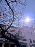 IMG_5385.jpegのサムネイル画像