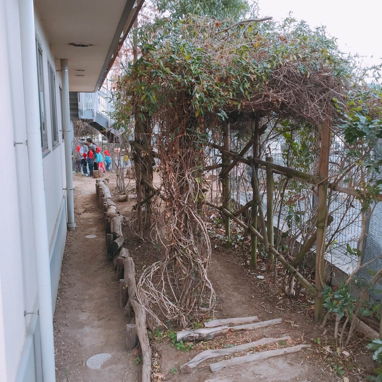 小学館アカデミー柏しこだの森保育園 園トップ画像2