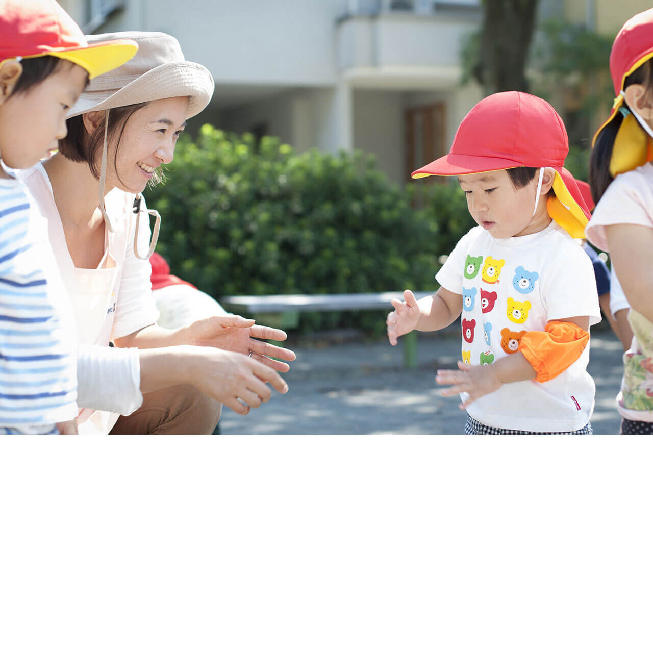 小学館アカデミー柏しこだの森保育園 園トップ画像3