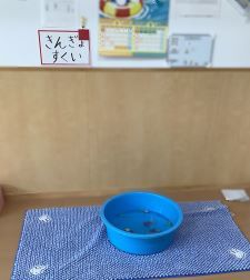 82727.jpg